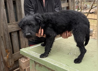 Jenga möchte die Welt mit dir entdecken