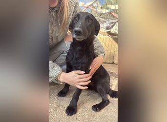 Majka sucht ihre Herzensmenschen