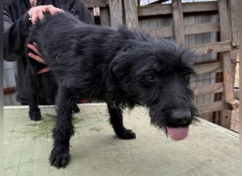 Jenga möchte die Welt mit dir entdecken