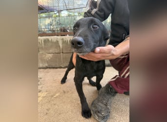 Majka sucht ihre Herzensmenschen