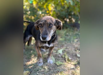 Zsadanyka - möchte dein Herz erobern