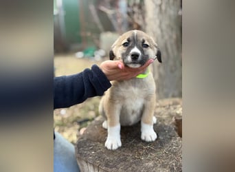 Neela wartet auf ihr Happy End