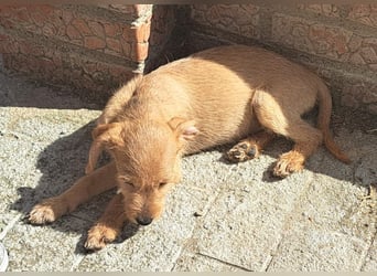Kendy sucht ihre Herzensmenschen