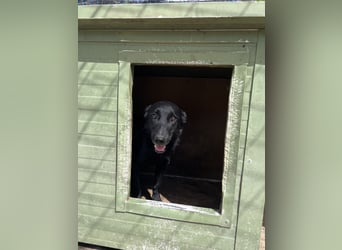 Majka sucht ihre Herzensmenschen