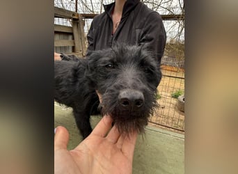 Jenga möchte die Welt mit dir entdecken