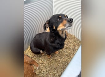 Mimi sucht dich!