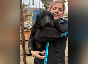 Jenga möchte die Welt mit dir entdecken