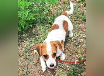 Die kleine Lilou kann bald in Hessen besucht werden