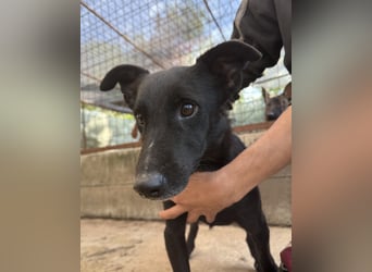 Majka sucht ihre Herzensmenschen