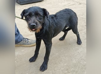 Leandra - Süße Maus will endlich ankommen!