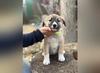 Neela wartet auf ihr Happy End