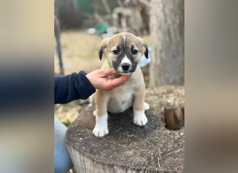 Neela wartet auf ihr Happy End