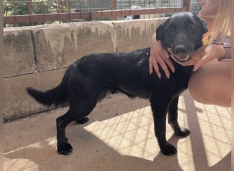 Majka sucht ihre Herzensmenschen