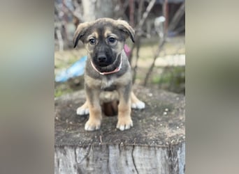 Nalani möchte einfach dazugehören