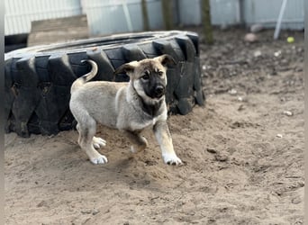 Verliebt auf den ersten Blick? Das ist Nacho !