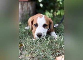 Olivi sucht ihre erste eigene Familie