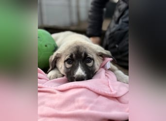 Nils ist pure Freude