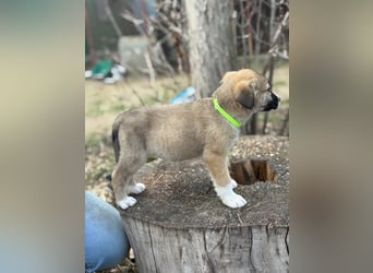 Neela wartet auf ihr Happy End