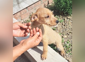 Kendy sucht ihre Herzensmenschen