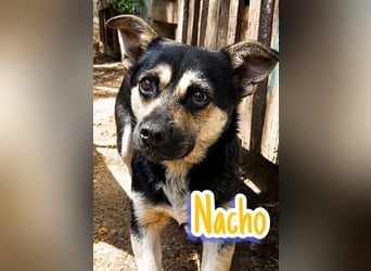 Nacho will die Welt sehen