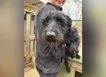 Jenga möchte die Welt mit dir entdecken