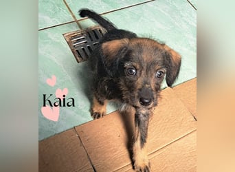 Die kleine Kaia sucht ihr Für-immer-Zuhause
