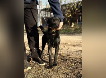 Leandra - Süße Maus will endlich ankommen!