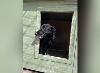 Majka sucht ihre Herzensmenschen