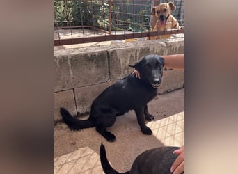 Majka sucht ihre Herzensmenschen