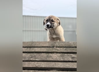 Neela wartet auf ihr Happy End