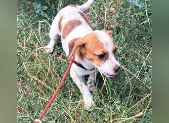 Die kleine Lilou kann bald in Hessen besucht werden