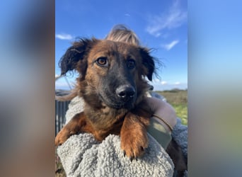 Kleine Maus Luca sucht ihre Herzensmenschen