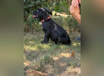 Jade ist bereit für sein Abenteuer Leben