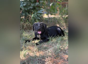 Jade ist bereit für sein Abenteuer Leben