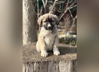 Nils ist pure Freude