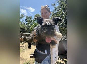 Lidi - sie hat es so verdient ein Zuhause zu bekommen