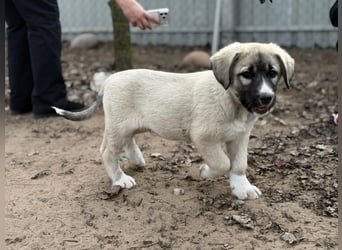 Nils ist pure Freude