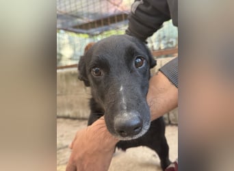 Majka sucht ihre Herzensmenschen