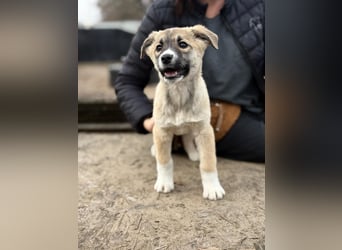 Neela wartet auf ihr Happy End