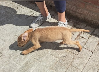Kendy sucht ihre Herzensmenschen