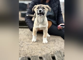 Neela wartet auf ihr Happy End