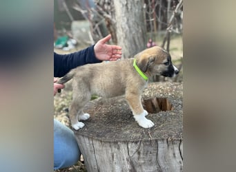 Neela wartet auf ihr Happy End