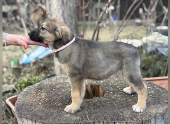 Nalani möchte einfach dazugehören
