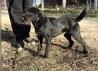 Leandra - Süße Maus will endlich ankommen!