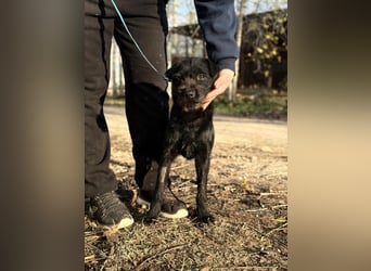 Leandra - Süße Maus will endlich ankommen!