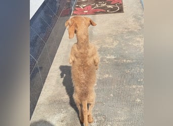 Kendy sucht ihre Herzensmenschen