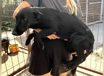 Majka sucht ihre Herzensmenschen