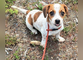Die kleine Lilou kann bald in Hessen besucht werden