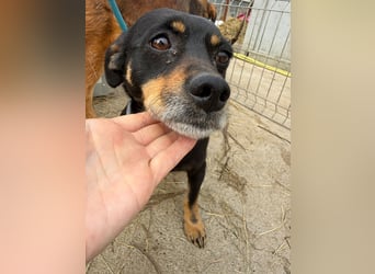 Mimi sucht dich!