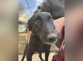 Majka sucht ihre Herzensmenschen